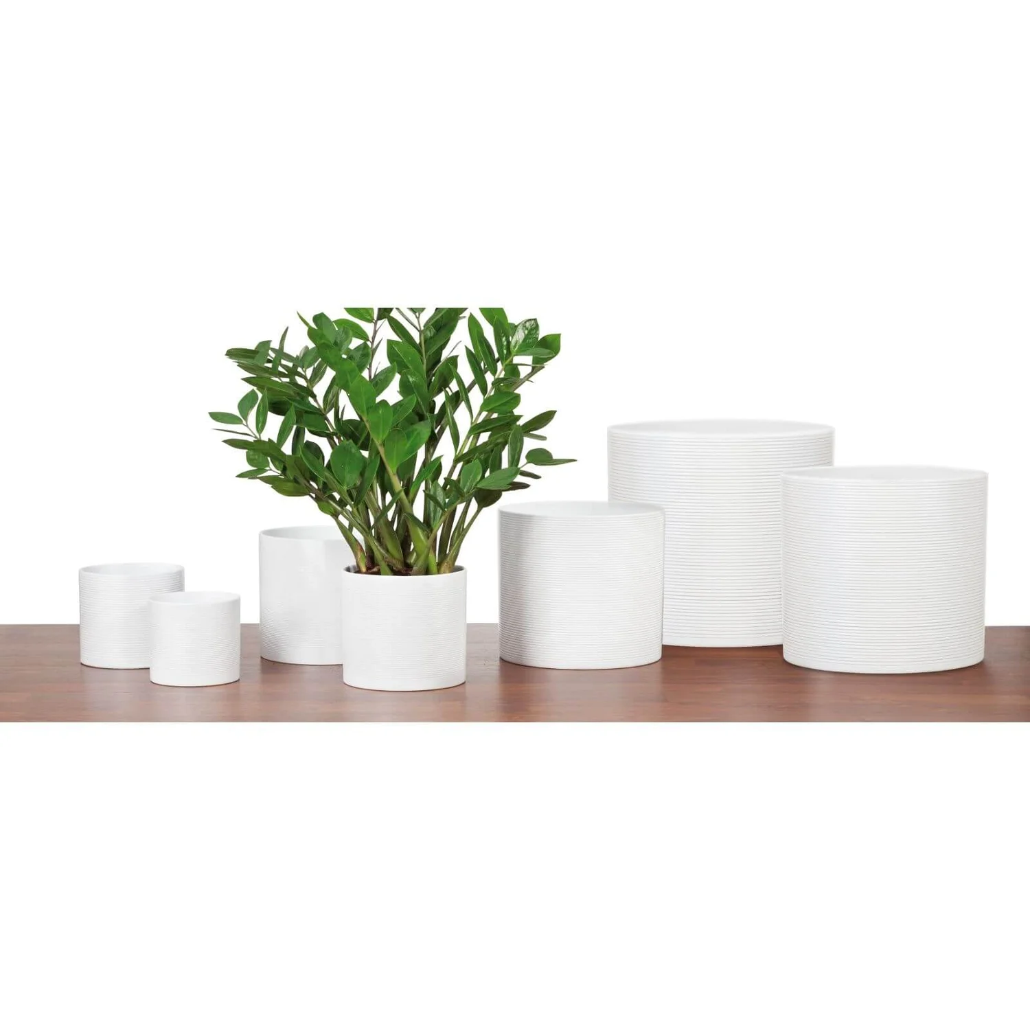 White Plant Pot - 16cm - Image 2