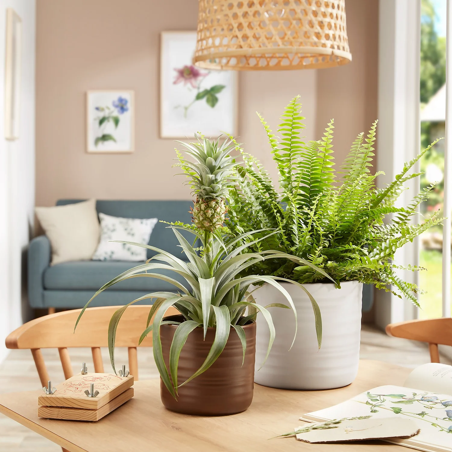 Scheurich Ripple Brown Indoor Pot - 23cm - Image 2