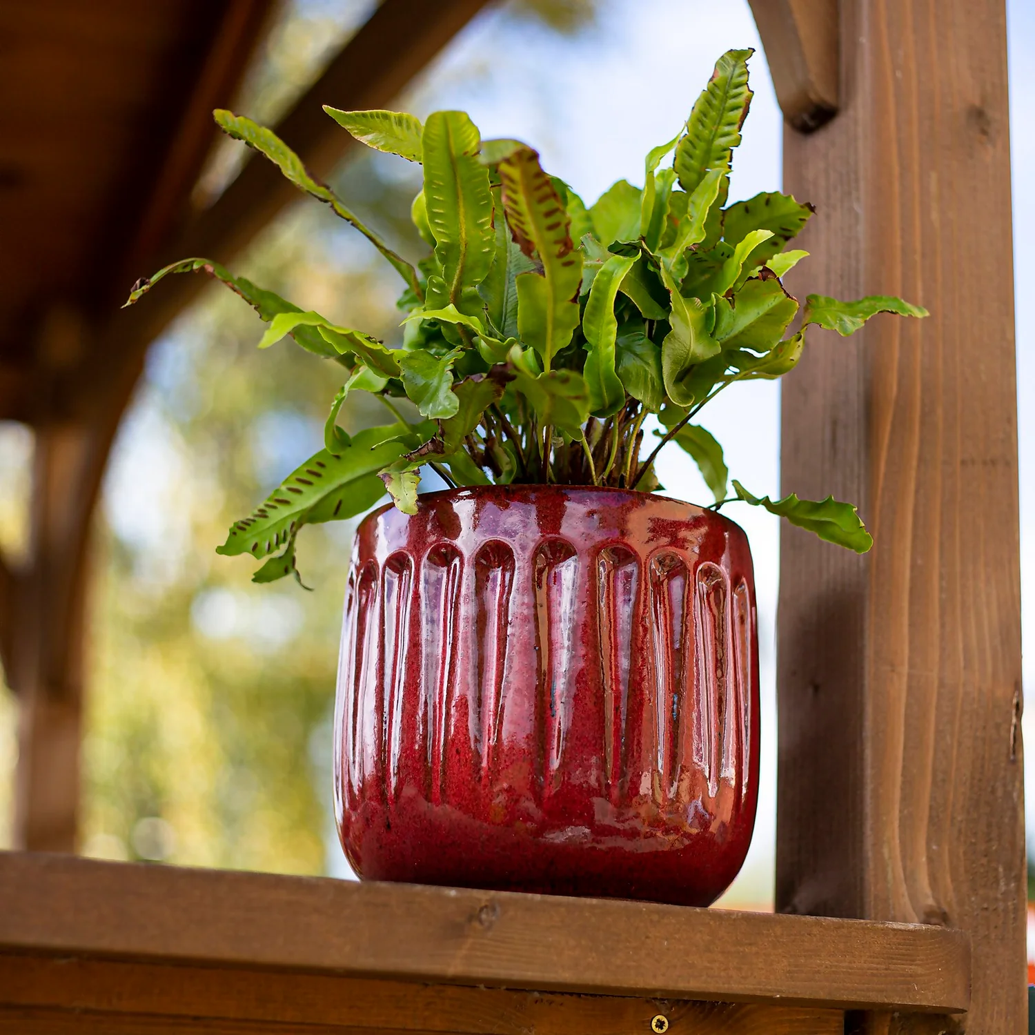 Chiswick Running Pot Red - 18cm - Image 3